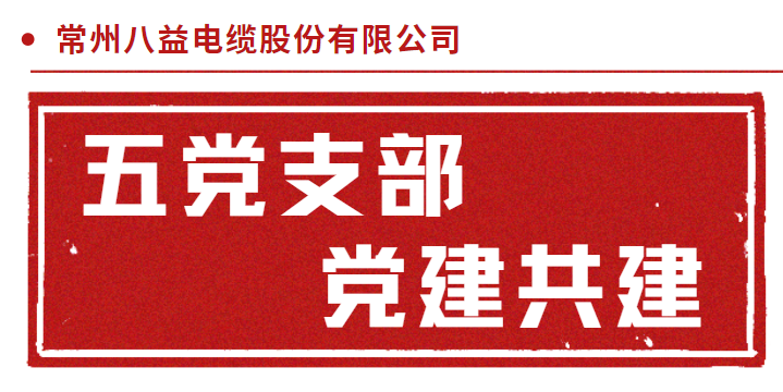 三門核電倒送電耐火電纜 五黨支部黨建共建！